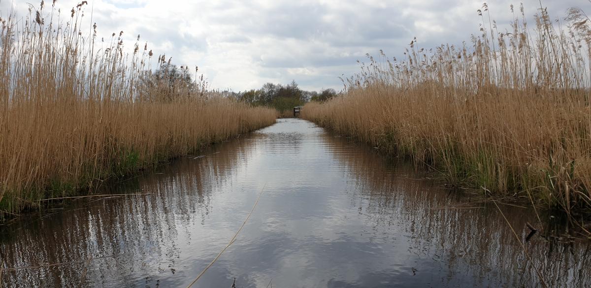 Walk around De Weerribben-Wieden National Park