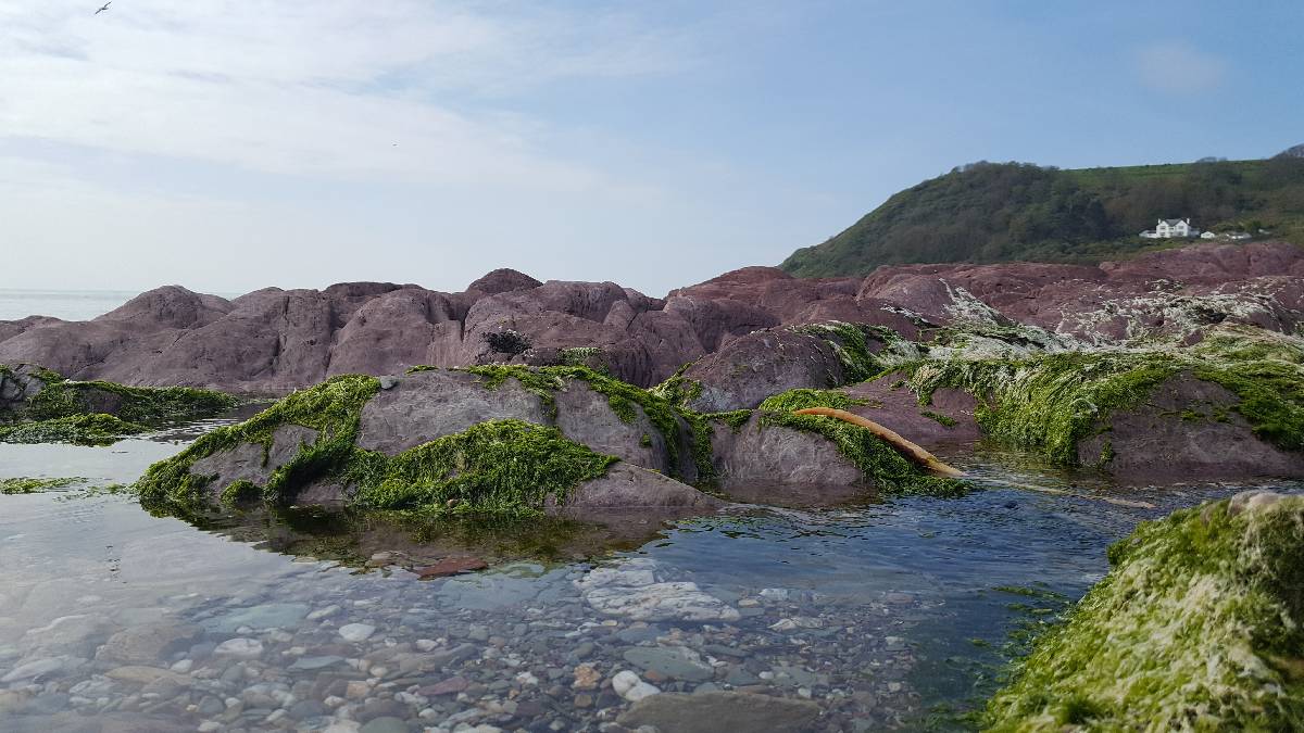 red stones