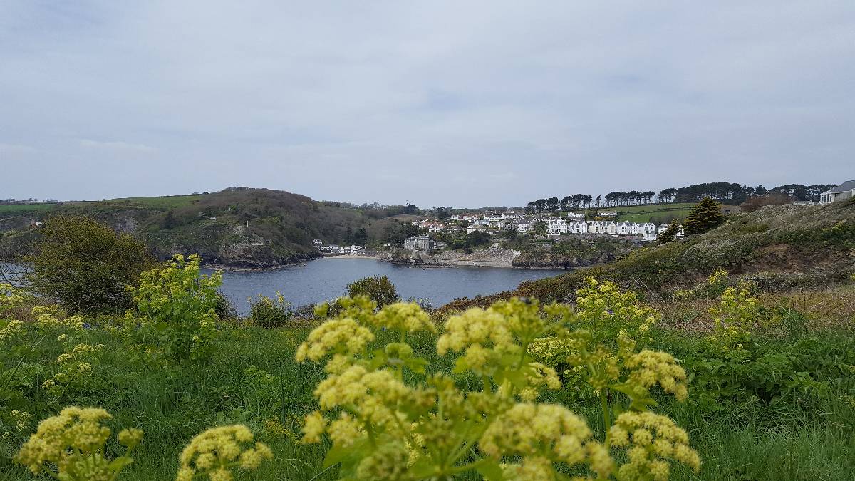 Fowey from Polruan