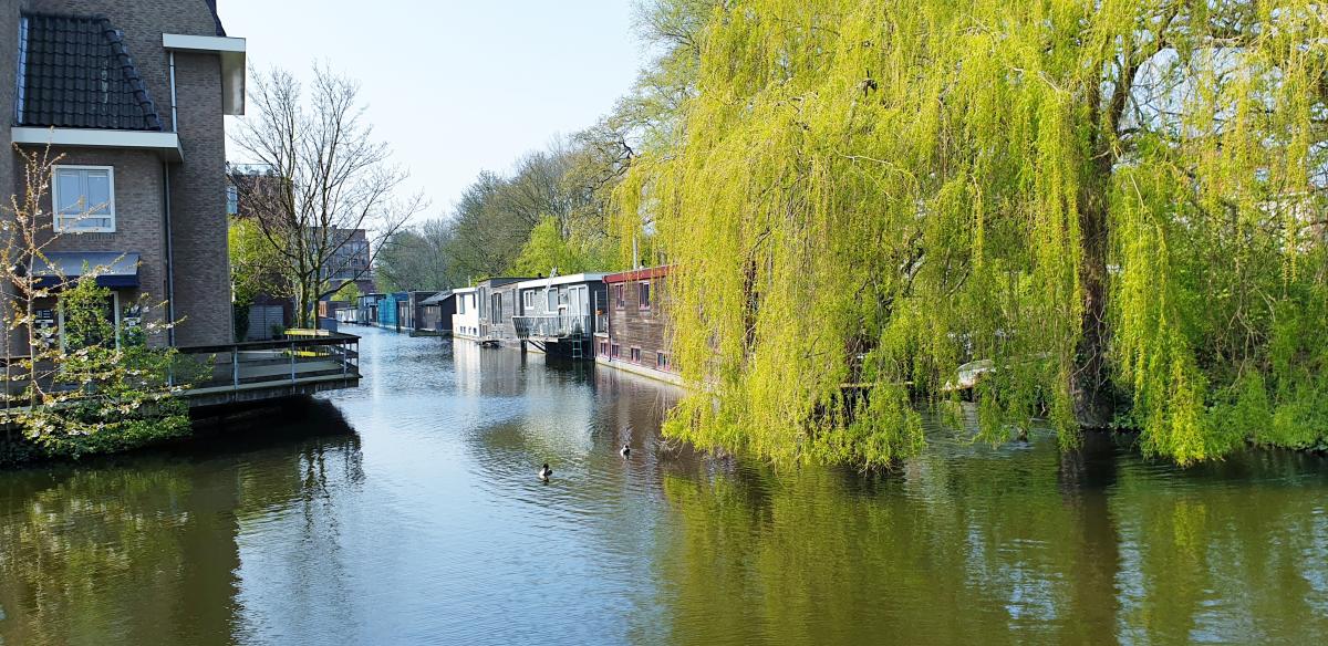 Delft living next to water