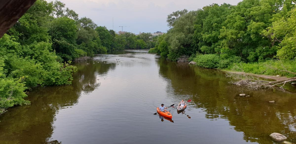 Speed River Paddling