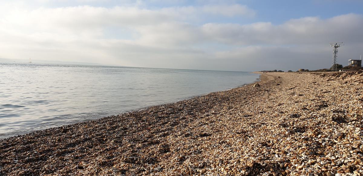 Browndown Battery beach