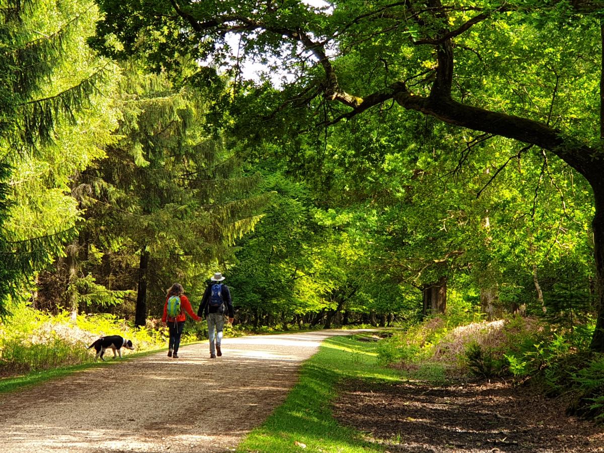 Bolderwood Deer Sanctuary