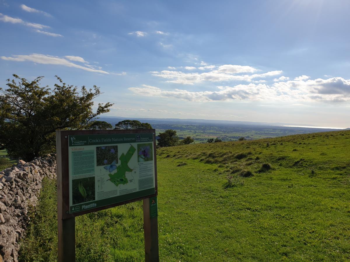 Cook's field nature reserve