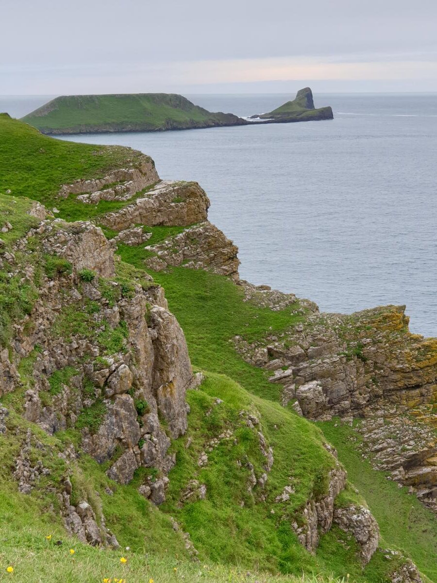 Worms head